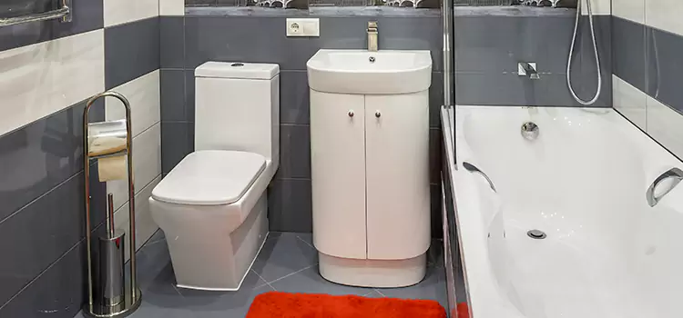 Hansgrohe Shaving Mirror Santa Barbara